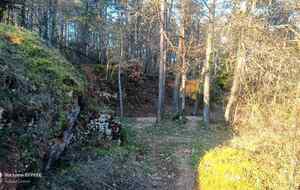 Journée nettoyage du 20/03/2026